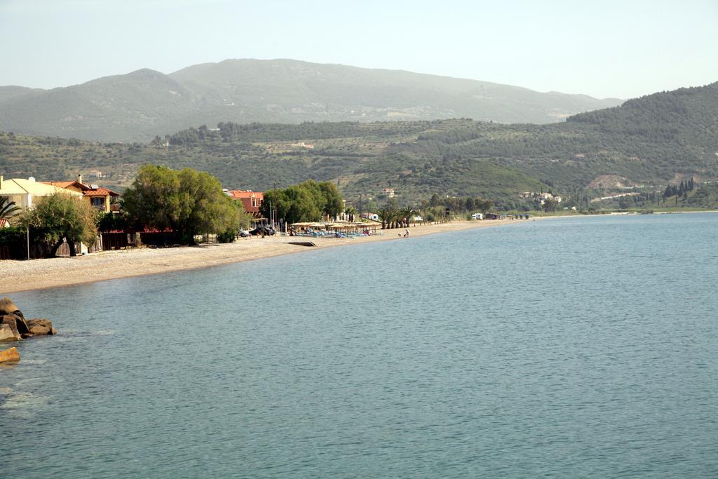 Cavos Fokidos Aparthotel Chiliadou  Bagian luar foto