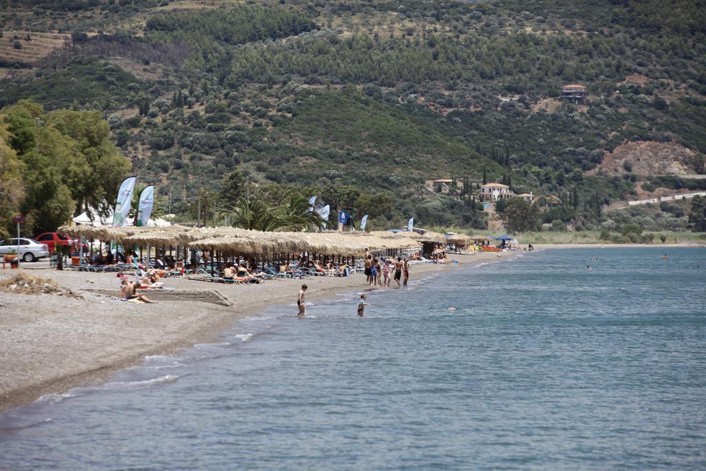 Cavos Fokidos Aparthotel Chiliadou  Bagian luar foto